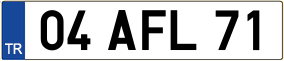 Trailer License Plate